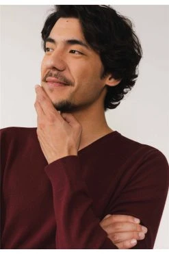 Pulls Pull à Manches Longues Col Rond Pull VIAN